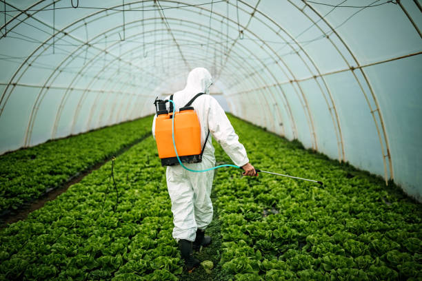Best Pest Control Near Me  in Vernon, WI
