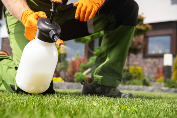Trusted Vernon, WI Pest Control Experts