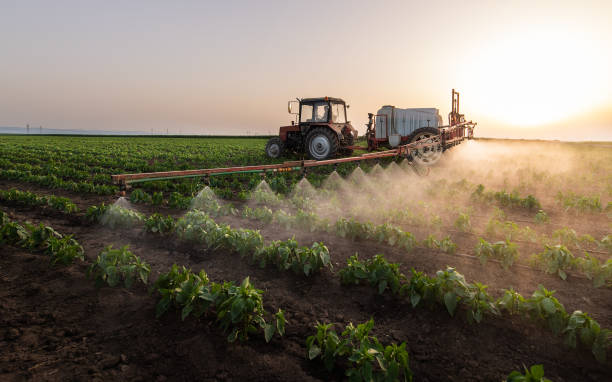 Insect Control in Vernon, WI