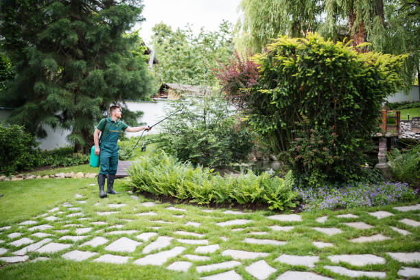 Best Residential Pest Control  in Vernon, WI