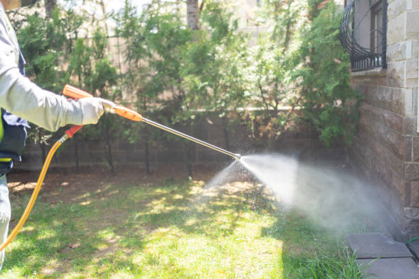 Best Spider Control Near Me  in Vernon, WI